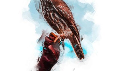 Falcon on Glove